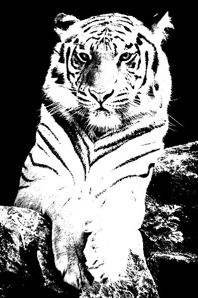 Image after manipulations